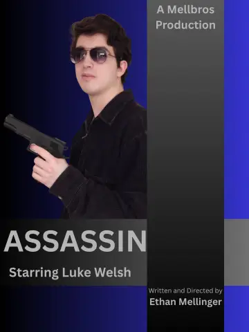 Poster to the movie "The Assassin" #1187220