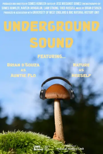 Poster to the movie "Underground Sound" #803684