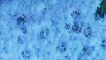 Backdrop to the movie "Vague Void" #1139755