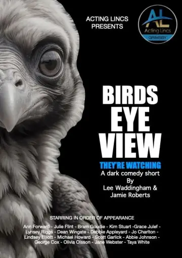 Birds Eye View