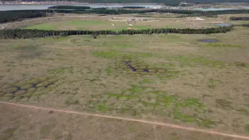 Backdrop to the movie "Mankind