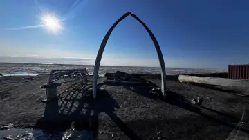 Backdrop to the movie "Mankind