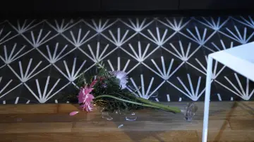 Backdrop to the movie "De l