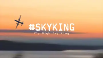 Backdrop to the movie "#SKYKING" #843735