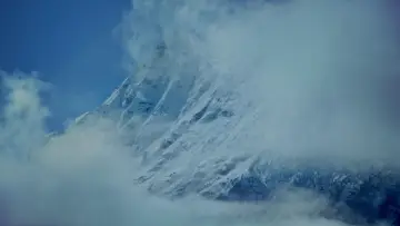 Backdrop to the movie "Murmuration" #544621