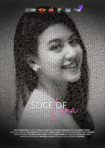 Slice of Luna