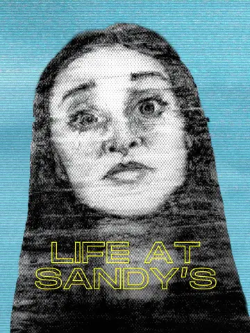 Poster to the movie "Life at Sandy