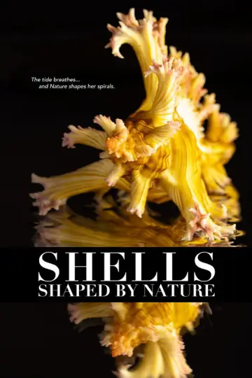 Poster to the movie "Shells: Shaped by Nature" #911852