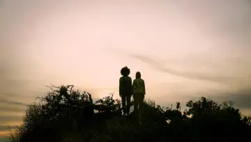 Backdrop to the movie "Lying Together" #972500