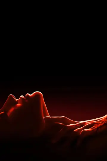 Poster to the movie "Vampire Carnival" #1789463
