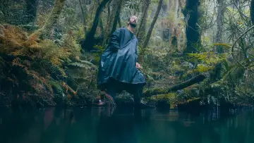 Backdrop to the movie "La forêt d