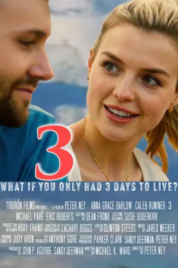 3: The Movie Poster