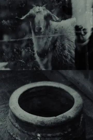 Though The Flock Shall Be Cut Off From The Fold Poster