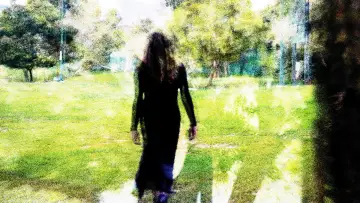 Backdrop to the movie "Angel (iii)" #955562