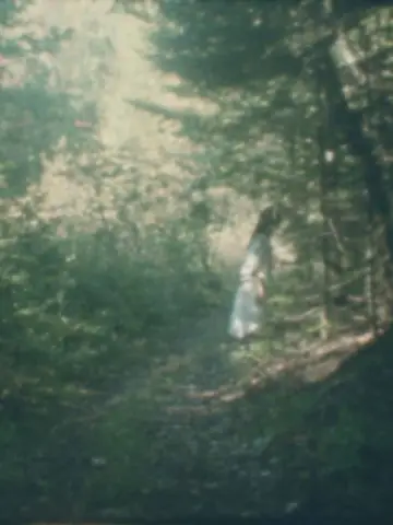 Poster to the movie "To the Forest" #778871