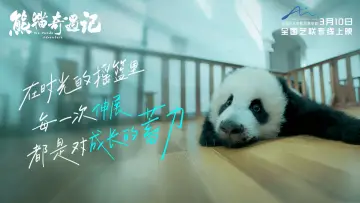 Backdrop to the movie "The Panda Adventure" #774037
