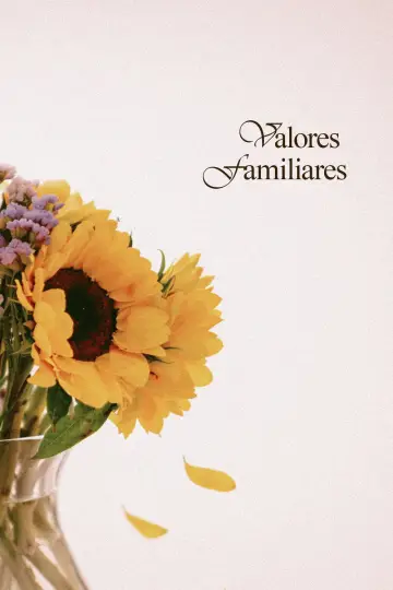 Poster to the movie "Valores Familiares" #969341