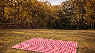 Backdrop to the movie "Sonhei de Novo" #833898