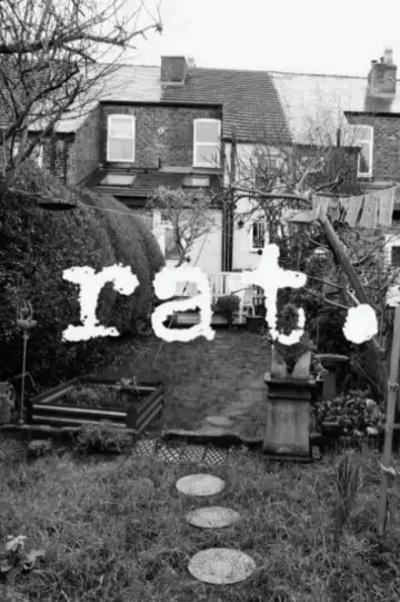 Poster to the movie "Rat" #794805