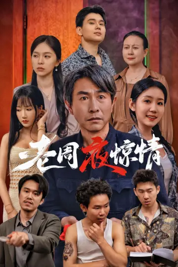 Poster to the movie "老周夜惊情" #777187