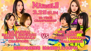 Backdrop to the movie "Yasukuni Shrine Dedication Pro Wrestling ~ Marigold Yamato Shinshu Women