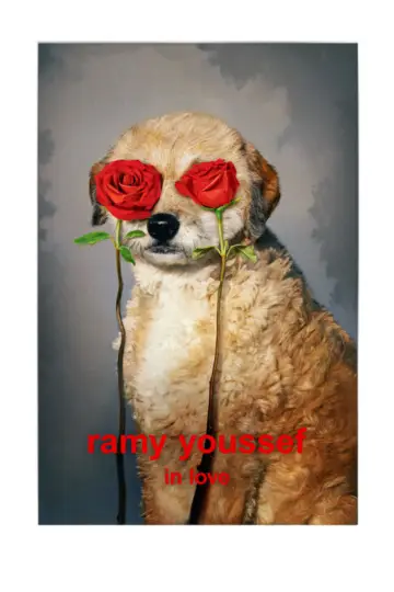 Poster to the movie "Ramy Youssef: In Love" #857638