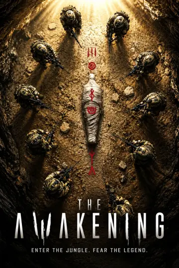 Poster to the movie "The Awakening" #1652060