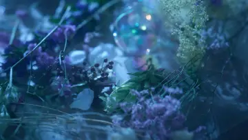 Backdrop to the movie "Touken Ranbu: The Musical - Higekiri Solo Performance ～Fleeting Dreams～" #777830
