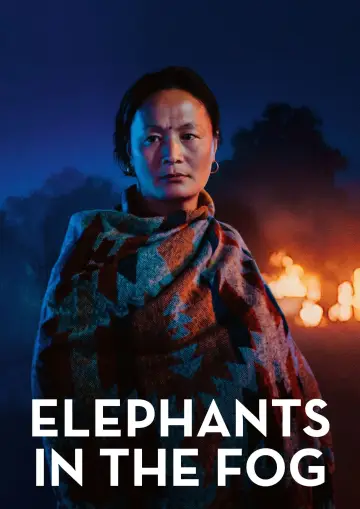 Poster to the movie "Elephants in the Fog" #1653634