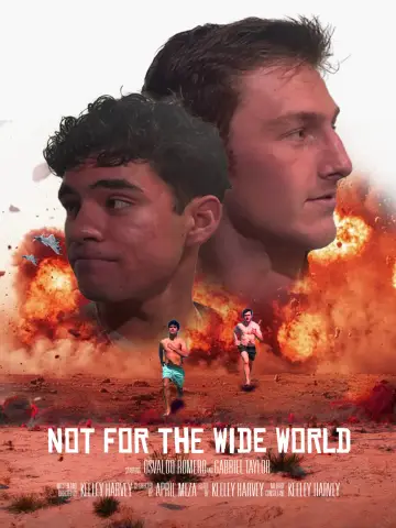 Poster to the movie "Not for the Wide World" #808148