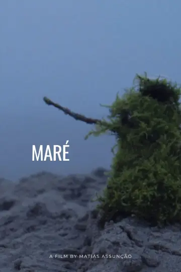 Poster to the movie "Maré" #805740