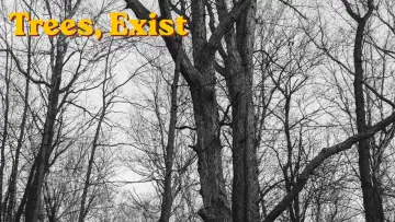 Backdrop to the movie "Trees, exist" #800075