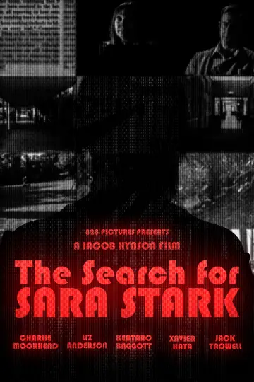 Poster to the movie "The Search for Sara Stark" #940046