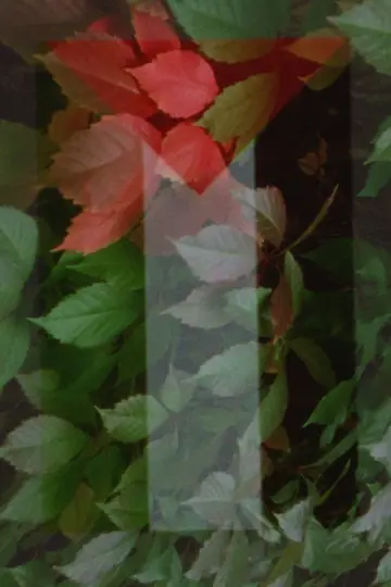 In Spite of Hell Poster