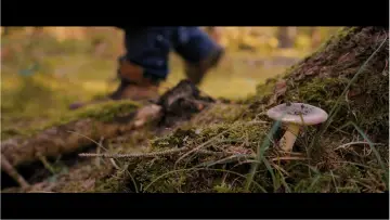 Backdrop to the movie "Smaragdil: L