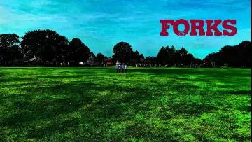 Backdrop to the movie "Forks" #1837570