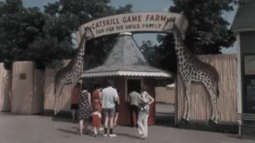 American Zoo Poster