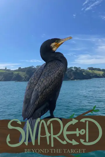 Poster to the movie "Snared" #1647250