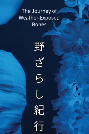 Poster to the movie "The Journey of Weather-Exposed Bones" #822921