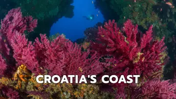 Backdrop to the movie "Croatias Coast - Endless and Wild" #1195132
