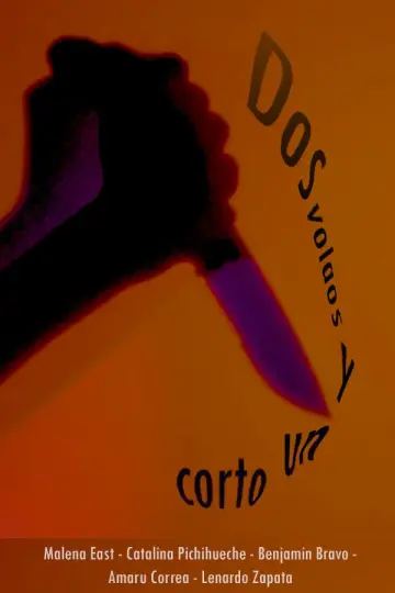 Poster to the movie "Dos volaos y un corto" #821753