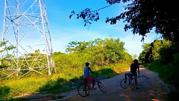 Backdrop to the movie "Bicycles and Trees" #820686