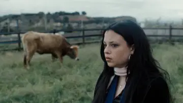 Backdrop to the movie "Me, You and the Cow" #1787619