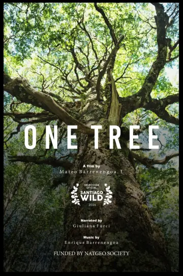 Poster to the movie "Un Árbol" #823412