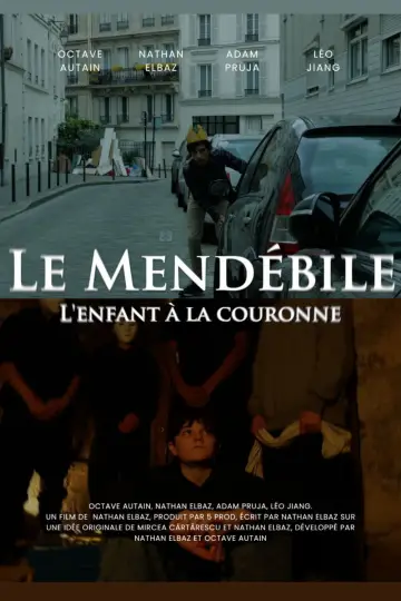 Poster to the movie "Le Mendébile - L