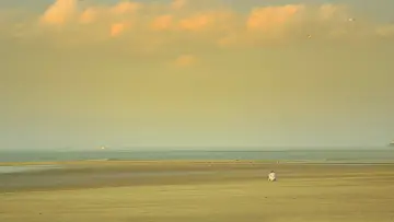 Backdrop to the movie "In Limbo" #1641151