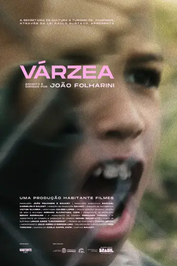 Poster to the movie "Várzea" #1181542