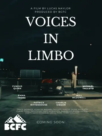 Voices In Limbo Poster