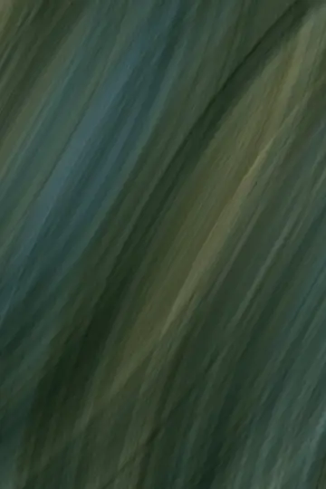 Fabric Poster