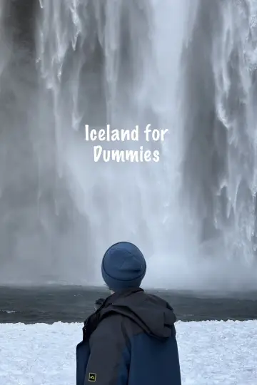 Poster to the movie "Iceland for Dummies" #822917